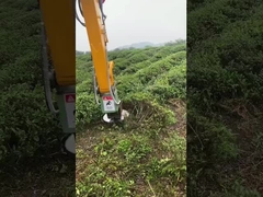 খননকারীর আনুষাঙ্গিক হাইড্রোলিক কাটিয়া কাঠ, ট্রিম শাখা, পরিষ্কার ব্রাশ