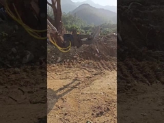 হাইড্রোলিক টাইপ WuYing Excavator Grabber, পাঁচ-কোঁকড়া কাঠ Grabber, Excavator জন্য স্যুট